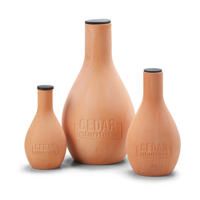 Self-Watering Clay Olla Pot By Cedar Planters