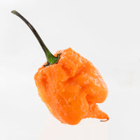 Orange Carolina Reaper Pepper Seeds, Garden Vegetables