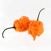 Orange Carolina Reaper Pepper Seeds, Garden Vegetables