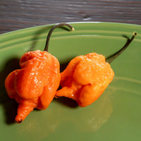 Orange Carolina Reaper Pepper Seeds, Garden Vegetables