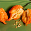 Orange Carolina Reaper Pepper Seeds, Garden Vegetables