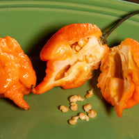 Orange Carolina Reaper Pepper Seeds, Garden Vegetables