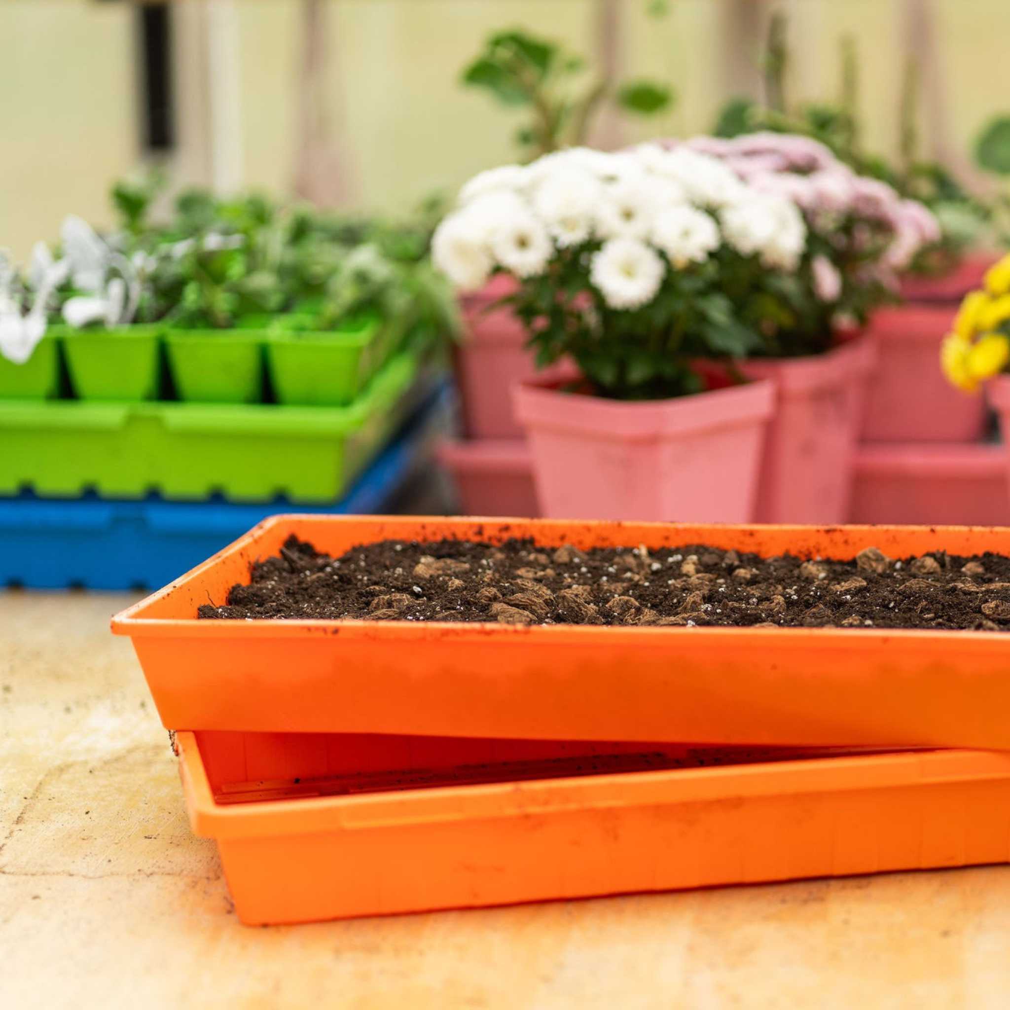 1020 Seed Starting Trays - Colored, Made In The USA By Bootstrap Farme ...