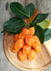 Artocarpus heterophyllus, Jackfruit ‘Orange Crush’ Tree Live Plant