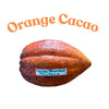 Trinitario Cacao, Large Rounded Red Orange Chocolate Tree