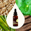 Brain Power Organic Herbal Supplement By Plant Therapy