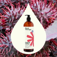 Organic Castor Carrier Oil By Plant Therapy