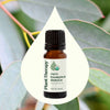 Organic Eucalyptus Globulus Essential Oil By Plant Therapy