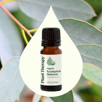 Organic Eucalyptus Globulus Essential Oil By Plant Therapy