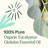 Organic Eucalyptus Globulus Essential Oil By Plant Therapy