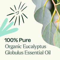 Organic Eucalyptus Globulus Essential Oil By Plant Therapy