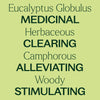 Organic Eucalyptus Globulus Essential Oil By Plant Therapy