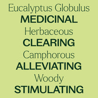 Organic Eucalyptus Globulus Essential Oil By Plant Therapy