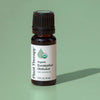 Organic Eucalyptus Globulus Essential Oil By Plant Therapy