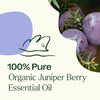 Organic Juniper Berry Essential Oil By Plant Therapy