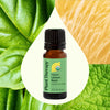 Organic Lemon Basil Essential Oil Blend By Plant Therapy