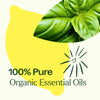 Organic Lemon Basil Essential Oil Blend By Plant Therapy