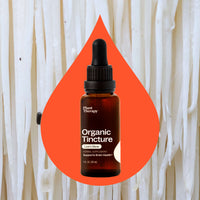 Organic Lion's Mane Tincture By Plant Therapy