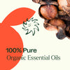 Organic Orange Clove Essential Oil Blend By Plant Therapy