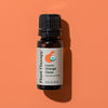 Organic Orange Clove Essential Oil Blend By Plant Therapy