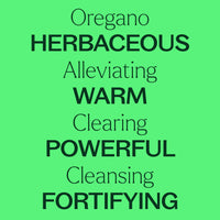 Organic Oregano Essential Oil By Plant Therapy