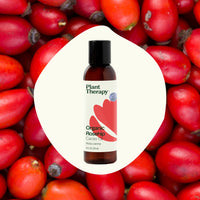 Organic Rosehip Carrier Oil Extra Virgin By Plant Therapy