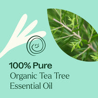 Organic Tea Tree Essential Oil By Plant Therapy