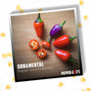 Ornamental Pepper Seed Collection, 7 Chili Varieties, Garden Vegetables