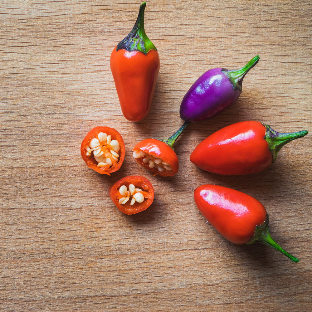 Ornamental Pepper Seed Collection, 7 Chili Varieties, Garden Vegetables