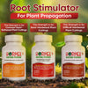 Hormex Rooting Powder Pack #3, 8, 16 - Rooting Hormone for Common Plants to Difficult Hardwood, Medicinal and Tree Cuttings