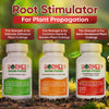 Hormex Rooting Powder Pack #1, 3, 8 - Rooting Hormone for Common Houseplants to Semi-Hardwood, Medicinal Plants and Tree Cuttings