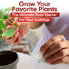 Hormex Rooting Powder Pack #3, 8, 16 - Rooting Hormone for Common Plants to Difficult Hardwood, Medicinal and Tree Cuttings