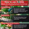 Hormex Rooting Hormone Concentrate with B1 – Root Growth Stimulator - Prevents Transplant Shock - Hydroponics, Houseplants, Gardens, Trees, Fruits and Vegetables