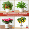 Hormex Rooting Powder Pack #3, 8, 16 - Rooting Hormone for Common Plants to Difficult Hardwood, Medicinal and Tree Cuttings