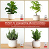 Hormex Rooting Powder #8 & 16 - Rooting Hormone for Semi-Hardwood Garden Plants to Hardwood, Medicinal and Tree Cuttings