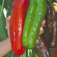 Marconi Giant Pepper Seeds, Versatile Garden Vegetables
