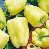 White Zinfandel F1 Bell Pepper Seeds, Disease Resistant Garden Vegetables
