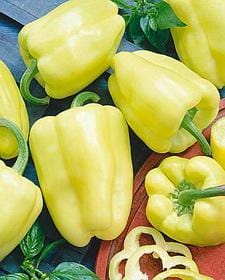 White Zinfandel F1 Bell Pepper Seeds, Disease Resistant Garden Vegetables