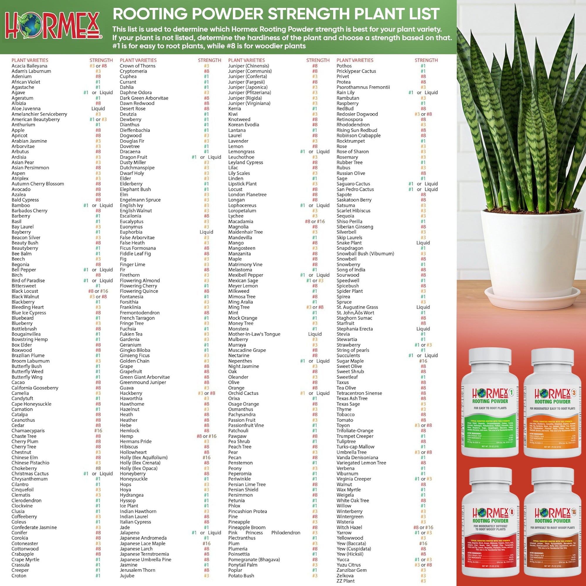 Hormex Rooting Powder Pack #1, 3, 8 - Rooting Hormone for Common House ...
