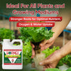 Hormex Rooting Hormone Concentrate with B1 – Root Growth Stimulator - Prevents Transplant Shock - Hydroponics, Houseplants, Gardens, Trees, Fruits and Vegetables
