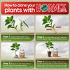 Hormex Rooting Powder Pack #1, 3, 8, 16 - Rooting Hormone for Common Houseplants to Hardwood, Medicinal Plants and Tree Cuttings