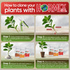 Hormex Rooting Powder Pack #3, 8, 16 - Rooting Hormone for Common Plants to Difficult Hardwood, Medicinal and Tree Cuttings
