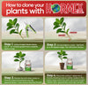 Hormex Rooting Powder #1 (0.10 IBA) - Rooting Hormone for Delicate Houseplants, Garden Herbs & Succulent Cuttings