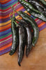 Holy Mole Pepper Seeds, Pasilla Hybrid Garden Vegetables 