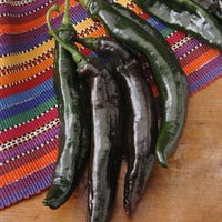 Holy Mole Pepper Seeds, Pasilla Hybrid Garden Vegetables 