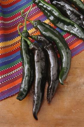 Holy Mole Pepper Seeds, Pasilla Hybrid Garden Vegetables 
