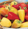Antohi Romanian Pepper Seeds, Mild Fruity Garden Vegetables