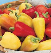 Antohi Romanian Pepper Seeds, Mild Fruity Garden Vegetables