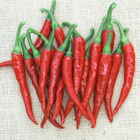 Ring of Fire Cayenne Pepper Seeds, Garden Vegetables