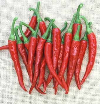 Ring of Fire Cayenne Pepper Seeds, Garden Vegetables